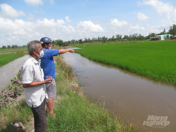 Mô hình tôm - lúa đã giúp nông dân vùng chuyển đổi huyện hồng Dân phát triển kinh tế khá ổn định. Ảnh: Trọng Linh.