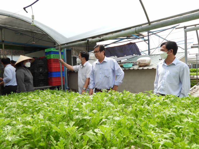 Đoàn công tác của Trung tâm Dịch vụ Nông nghiệp tỉnh Đồng Nai khảo sát mô hình trồng rau thủy canh Nhiệt Đới Farm của chị Cao Diễm Thúy. Ảnh: Trần Trung.