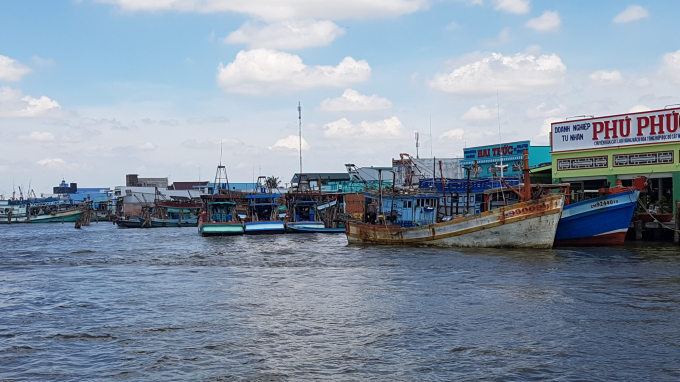 Nhiều tàu cá neo đậu tại cửa biển Sông Đốc. Ảnh: Trọng Linh.