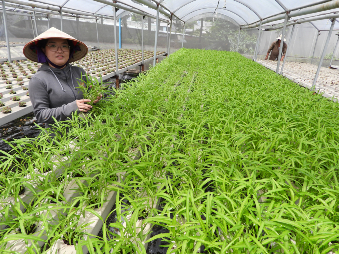 The owner of Thermal Farm, surprising as it may seem, is a talented woman from the 9X generation. Photo: Tran Trung.