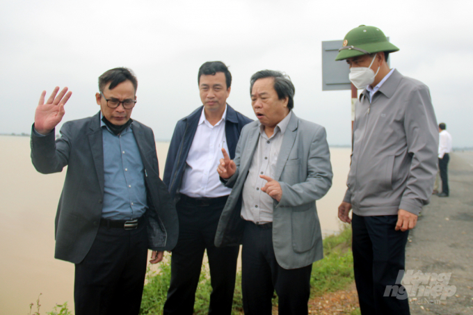 Cục Trồng trọt sẽ trình Bộ Nông nghiệp đề xuất Chính phủ hỗ trợ giống sớm nhất cho người dân Quảng Trị và Thừa Thiên - Huế. Ảnh: VD.