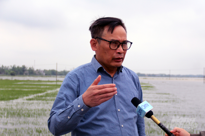 Cục trưởng Cục trồng trọt Nguyễn Như Cường lo lắng nhất là vấn đề ngộ độc hữu cơ trên đồng ruộng sau khi nước rút. Ảnh: VD.