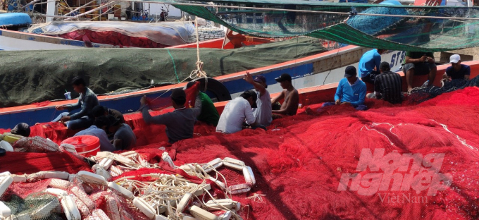Giá xăng dầu tăng cao khiến nghề khai thác hải sản của ngư dân Cà Mau đối mặt không ít khó khăn. Ảnh: Trọng Linh.