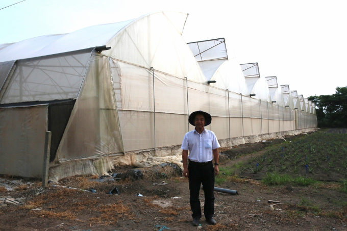 Unifarm was the first unit bold enough to spend tens of billion dong to import a closed system from Israel. Photo: Phuc Lap.