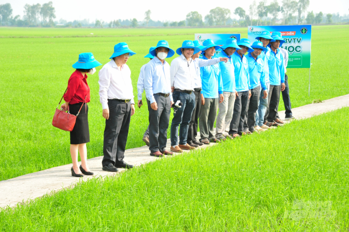 Đoàn công tác Cục BVTV cùng đại diện Công ty Tân Thành và nông dân thăm cánh đồng sinh học tại xã Thới Xuân, huyện Cờ Đỏ (TP Cần Thơ). Ảnh: Minh Đãm.
