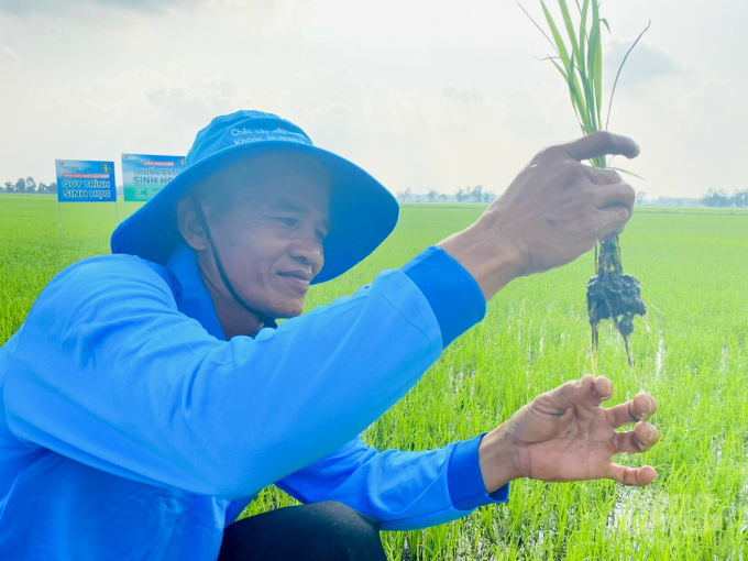 Farmers using biological pesticides are always assured of protecting the health and the community, reducing costs, and increasing yields. Photo:  Le Hoang Vu.