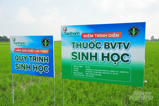 Model 'Demonstrating biological pesticides on the field' of Tan Thanh Company in cooperation with farmers in Thoi Xuan commune, Co Do district (Can Tho city). Photo:  Le Hoang Vu.