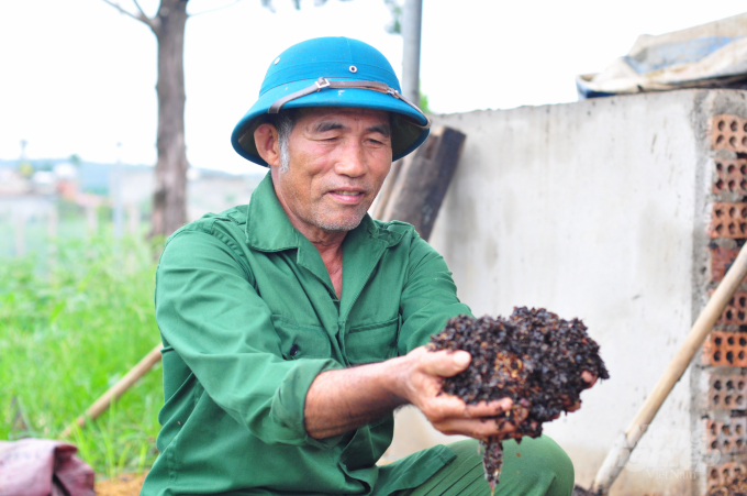 Mr. Pha composting organic fertilizers for the crops on his own. Photo: Minh Hau.