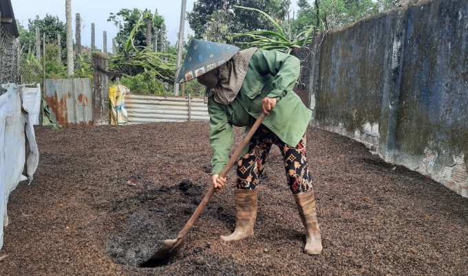 For many years Ms. Tu has been using manure in combination with coffee pods to fertilize her garden. Photo: Tuan Anh.