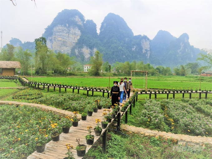 Khuôn viên giữa cánh đồng là điểm thú vị cho du khách có những bức ảnh lưu niệm đẹp khi đến với những làng homestay ở Lâm Bình. Ảnh: Đào Thanh.