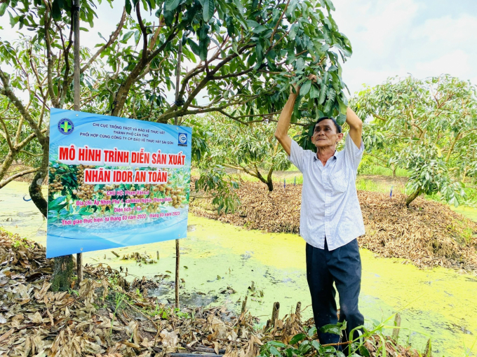 Mr. Pham Van Le, Chairman of the Board of Directors, Director of Nhon Nhia Longan Cooperative, presented a demonstration model of safe label production using bio-fertilizers. Photo:  Le Hoang Vu.