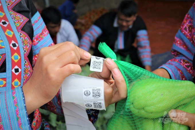 Science and technology will help cooperatives organise production and manage the quality of agricultural products better. Photo: Pham Hieu.