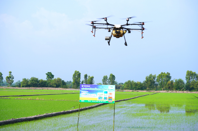 Thanks to Drone spraying pesticides, farmers are no longer directly exposed to pesticides. Photo: Huu Duc.
