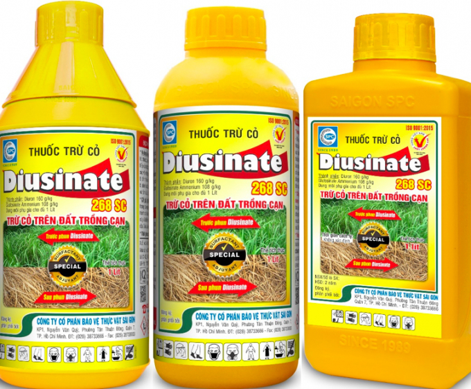 Thuốc diệt cỏ Diusinate 268SC, của Công ty Cổ phần Bảo vệ Thực vật Sài Gòn sản xuất, đã được tiến hành phun thử nghiệm 3 năm liên tục cho hiệu quả cao.