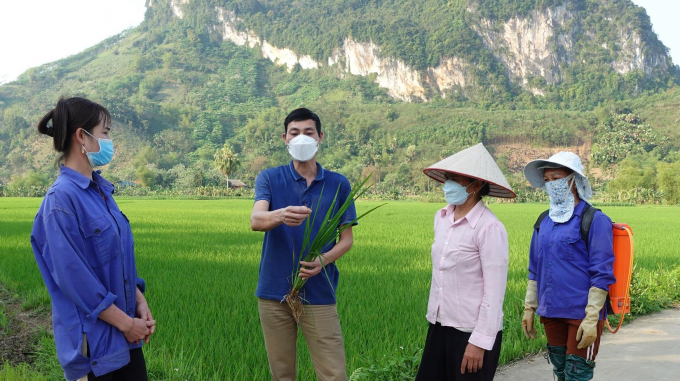 Cán bộ Trung tâm Dịch vụ - Hỗ trợ phát triển nông nghiệp huyện Lục Yên thường xuyên bám sát địa bàn hướng dẫn nông dân phòng trừ bệnh bạc lá vi khuẩn. Ảnh: Khắc Điệp.