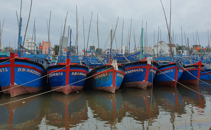 Investment in fishery and aquaculture infrastructure has not been reached the goals of the decree. Photo: Trung Quan.