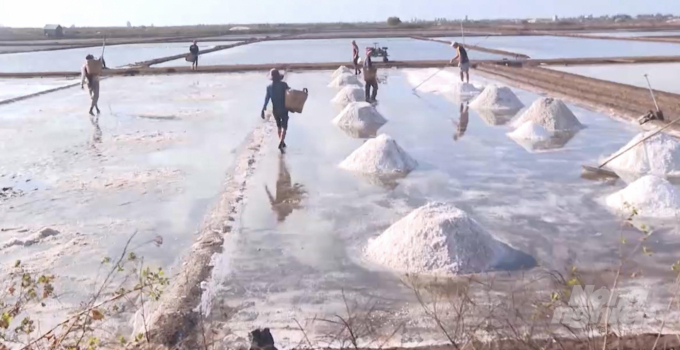 The soon-to-harvest salt fields suddenly melt off due to unseasonal rains. Photo: Trong Linh.