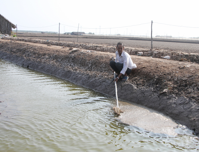 Besides salt, Artemia breeders also suffer heavy losses due to unseasonal rains. Photo: Trong Linh.