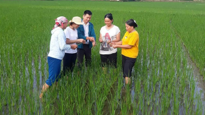 Khuyến nông viên xã Võ Lao, huyện Văn Bàn (Lào Cai) hướng dẫn nông dân phòng trừ sâu bệnh cho lúa xuân. Ảnh: Lưu Hòa.