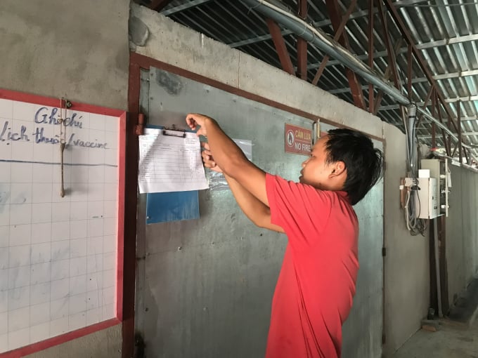 Tran Phuoc Loc, owner of the chicken raising facility checks the vaccination schedule for chickens. Photo: Minh Dam.