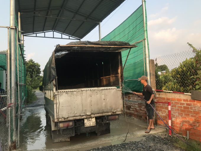 Trucks transporting food, commercial chickens from/to the farm are cleaned, disinfected with lime and antiseptic. Photo: Minh Dam.
