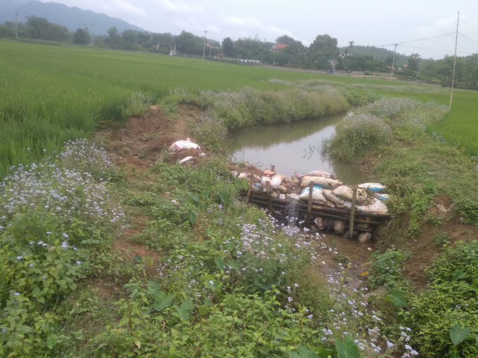 Người dân đắp vai mong nước mương dâng lên để chảy vào ruộng nhưng vẫn không được