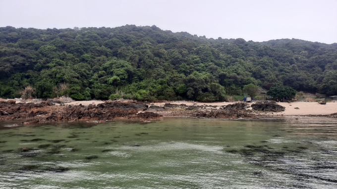 Khu vực bãi triều thuộc đảo Dê được ông Sơn thả ốc đá thương phẩm. Ảnh: Nguyễn Thành.