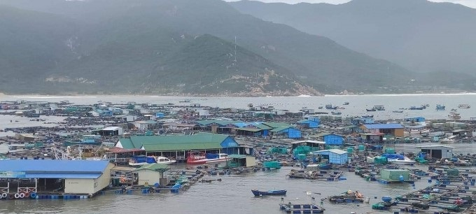 Bè nuôi bị sóng biển lùa dồn thành đống gây thiệt hại lớn cho người nuôi thủy sản ở đảo Bình Hưng, xã Cam Bình. Ảnh: KS.