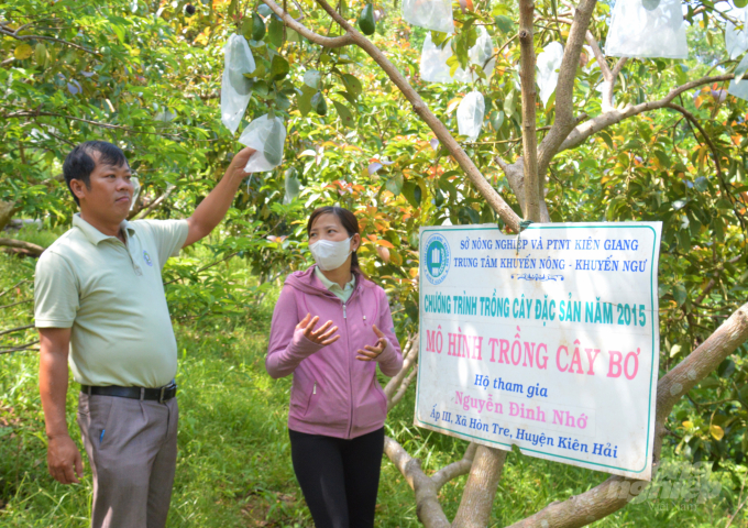 Anh Đỗ Trung và chị Trần Thị Thủy, Trưởng trạm và Phó trưởng Trạm Khuyến nông huyện Kiên Hải đang trao đổi về kỹ thuật trồng và chăm sóc cây bơ. Ảnh: Trung Chánh.