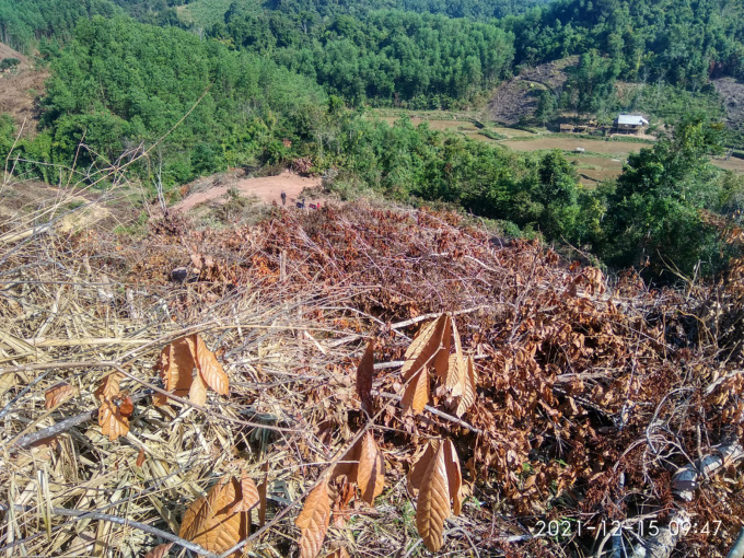 Tình trạng xâm lấn rừng ở Quỳ Châu phần nhiều xuất phát từ nhu cầu 'khát đất sản xuất'. Ảnh: VK.