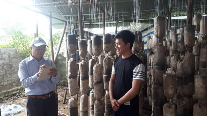 Anh Phạm Văn Sinh (phải) giới thiệu về quy trình trồng nấm sò. Ảnh: Lê Cương.