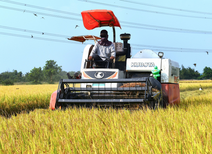 Nền tảng đạt được của Dự án VnSAT đã góp phần quan trọng trong công tác sản xuất lúa thích ứng với biến đổi khí hậu, sản xuất lúa thông minh ở Tiền Giang: Ảnh: Minh Đảm.