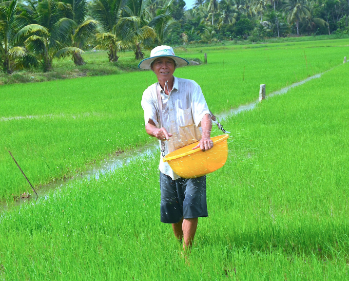 Nông dân trong vùng Dự án VnSAT ở Tiền Giang đã mạnh mẽ giảm phân bón để gia tăng hiệu quả sản xuất lúa. Ảnh: Minh Đảm.