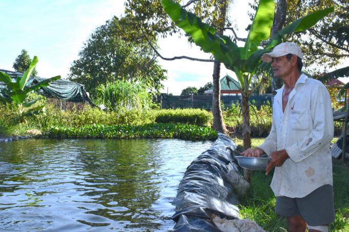 Lão nông Nguyễn Văn Bạch cũng trữ một ao nước ngọt cỡ lớn đủ để tưới vườn sầu riêng 5 công hơn 1 tháng. Ảnh: Minh Đảm.