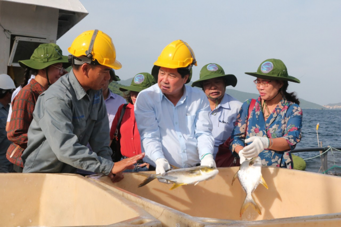 Thứ trưởng Bộ NN-PTNT Lê Quốc Doanh thăm trang trại nuôi biển của Viện I. Ảnh: KS.