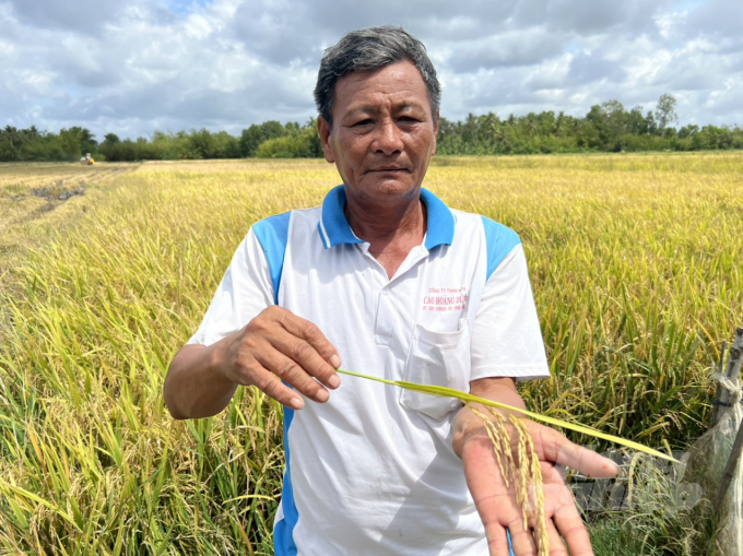 Huynh Van Khai, a farmer in Vinh Phu Dong Commune, is happy because of a bumper crop after applying the model of organic rice production. Photo: Quoc Viet.