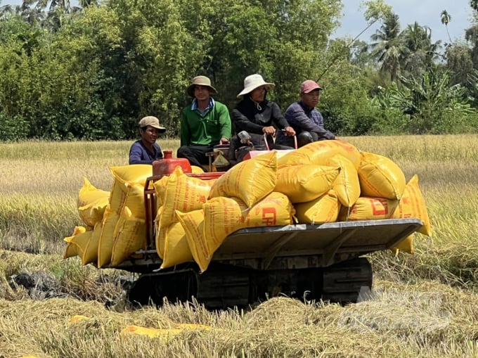 Farmers highly appreciate the quality of organic fertilizer. Photo: Quoc Viet.