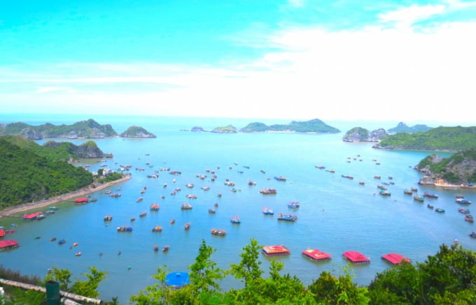 Quần đảo Cát Bà là nhóm 367 hòn đảo đá vôi nằm phía nam vịnh Hạ Long: Ảnh: Giang Sơn.