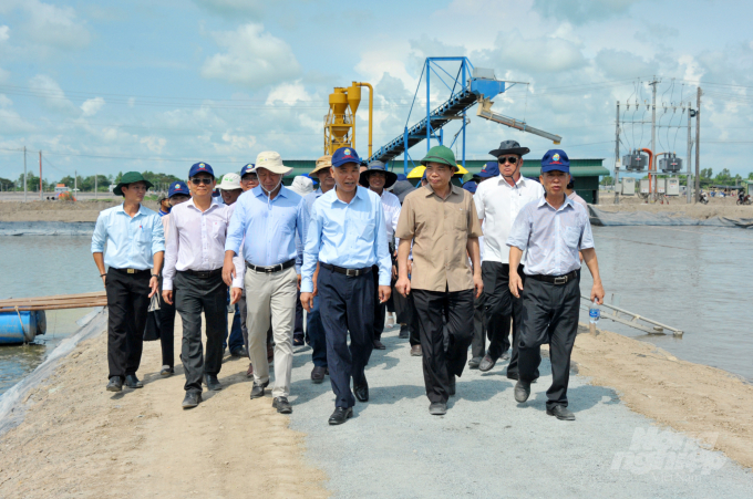 Former Minister of Agriculture and Rural Development Nguyen Xuan Cuong and Deputy Minister of Agriculture and Rural Development Phung Duc Tien (3rd and 4th from the right) visit the high-tech pangasius farming model of Nam Viet Joint Stock Company. Photo: Le Hoang Vu.