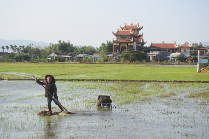 Nông dân xã Phước Sơn (huyện Tuy Phước, Bình Định) khẩn trương dọn sạch đồng ruộng để sản xuất vụ hè thu. Ảnh: V.Đ.T.