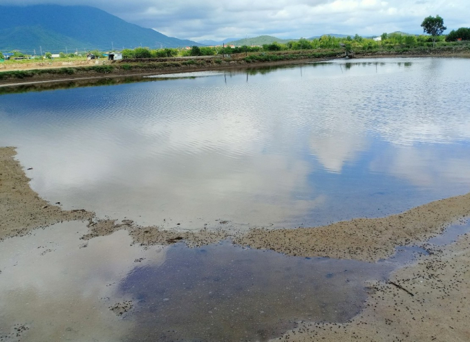 Nhiều ao nuôi ở thôn Ninh Đức, xã Ninh Lộc đã bị thiệt hại, tháo cạn nước. Ảnh: KS.