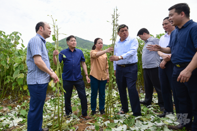 Thứ trưởng Trần Thanh Nam nhấn mạnh việc đưa gai xanh thành cây chủ lực, giúp bà con nông dân miền núi phía Bắc có thể làm giàu. Ảnh: Tùng Đinh.
