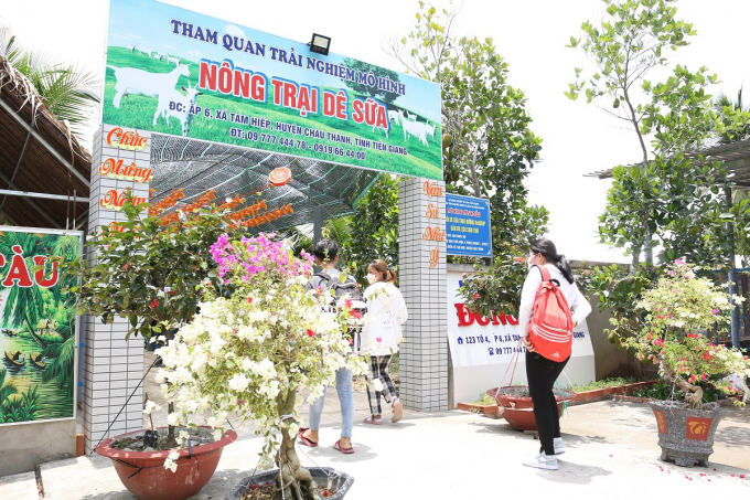 Tourists visit the dairy goat farm of Dong Nghi Cooperative. Photo: Minh Dam.