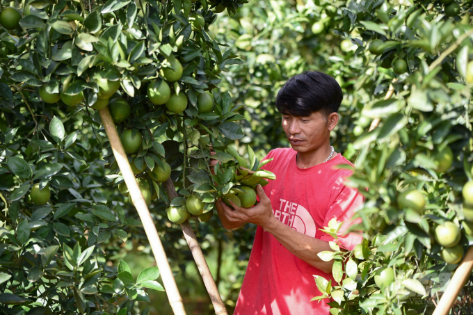 According to Minister Le Minh Hoan, in addition to technical and scientific factors, projects and plans of the agricultural sector need more opinions from experts on the market. Photo: Tung Dinh.