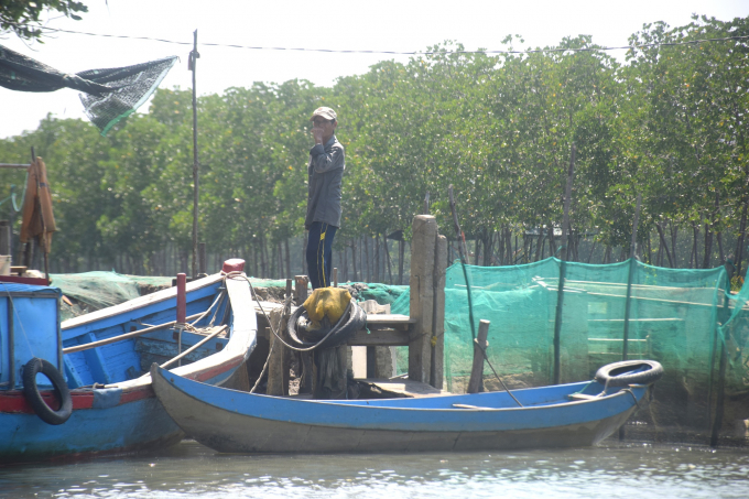 Người dân Cồn Chim đang có thu nhập ổn định nhờ nuôi trồng thủy sản quảng canh xen tôm, cua, cá theo kiểu đánh tỉa thả bù. Ảnh: V.Đ.T.