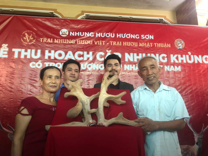 Ông Bùi Văn Lợi, người sở hữu con hươu đực 'chất' nhất nhì Hà Tĩnh cho biết, ông đang đẩy mạnh phối giống để cung cấp ra thị trường những con hươu giống chất lượng. Ảnh: Thanh Nga.  