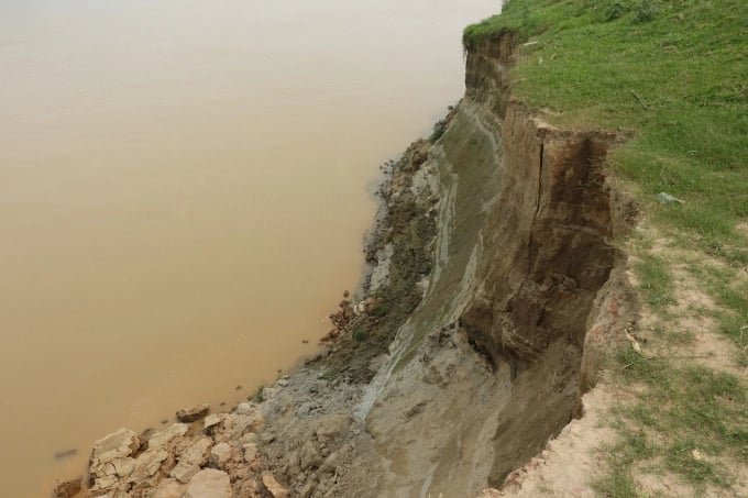 Bờ vở sông Lô bị sạt lở, đoạn qua địa bàn tỉnh Phú Thọ. Ảnh: Hoàng Anh.