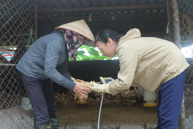 Nhờ lực lượng nhân viên thú y xã nên việc tiêm phòng vắc xin cho vật nuôi được đảm bảo. Ảnh: Đinh Mười.