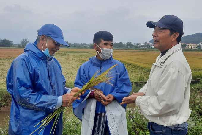 Lãnh đạo Chi cục Trồng trọt và BVTV Thừa Thiên - Huế ra tận đồng ruộng động viên nông dân. Ảnh: CĐ.