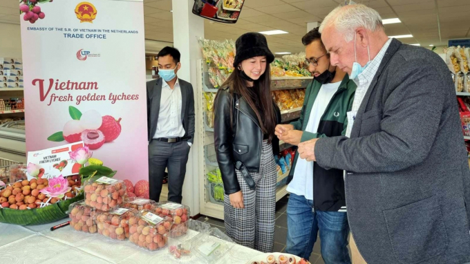 In 2021, Bac Giang lychees were exported to the European market.